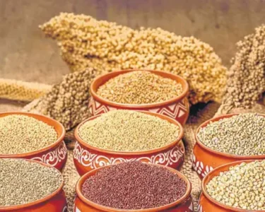 Millets
