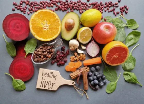 liver regeneration