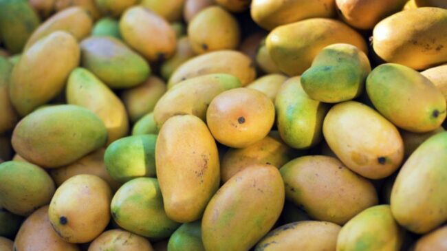 Identifying Artificially Ripened Mangoes at Home