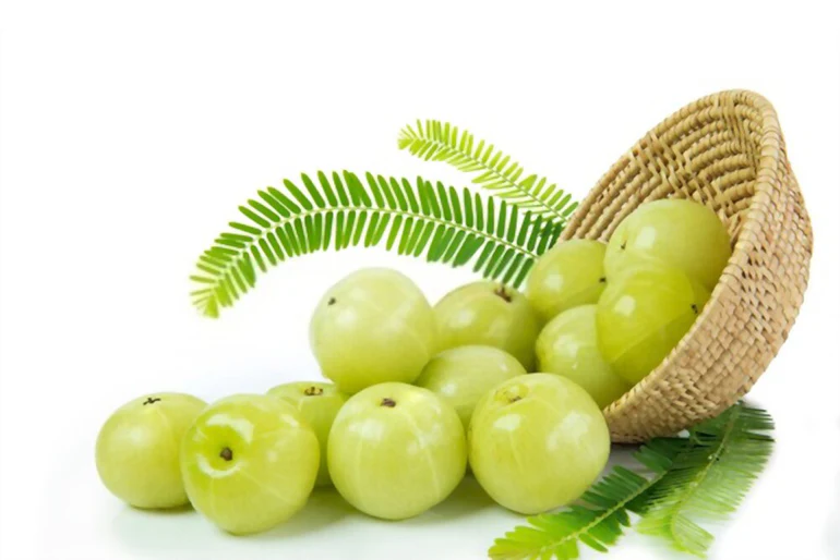 Benefits of chewing 1 amla daily on an empty stomach