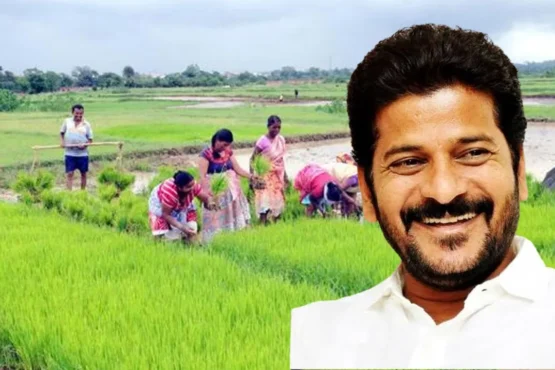 Farmers